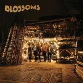 BLOSSOMS  - VINYL BLOSSOMS [VINYL]