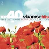 VARIOUS  - 2xCD TOP 40 - VLAAMSE HITS