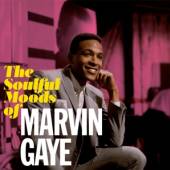  SOULFUL MOODS OF MARVIN.. - suprshop.cz