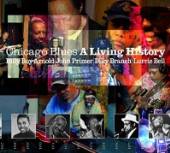  CHICAGO BLUES: A LIVING HISTORY - suprshop.cz