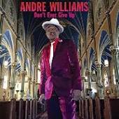 ANDRE WILLIAMS  - VINYL DONâ€™T EVER GIVE UP [VINYL]