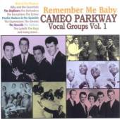  REMEMBER ME BABY - CAMEO PARKWAY VOCAL GROUPS VOL - suprshop.cz