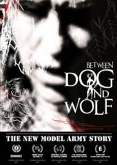 NEW MODEL ARMY  - DVD BETWEEN DOG AND WOLF