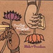 COX DOUG & SALIL BHATT  - CD SLIDE TO FREEDOM