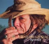 WATERMELON SLIM  - CD RINGERS