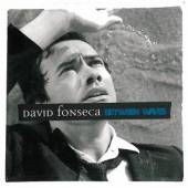 DAVID FONSECA  - VINYL BETWEEN WAVES (LP+CD) [VINYL]