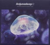 VARIOUS  - 2xCD ANJUNADEEP 02