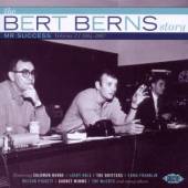  MR SUCCESS: THE BERT BERNS STORY VOL 2 - 1964-67 - suprshop.cz