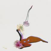 FUTURE ISLANDS  - CD FAR FIELD