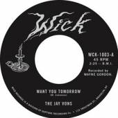 JAY VONS  - SI WANT YOU TOMORROW /7