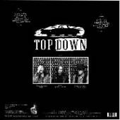 TOP DOWN  - VINYL ROUGH ROADS [VINYL]