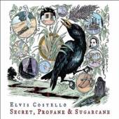  SECRET PROFANE &.. [VINYL] - suprshop.cz