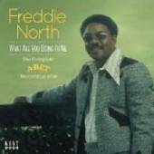 NORTH FREDDIE  - CD WHAT ARE YOU DOIN..