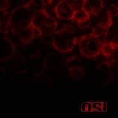 OSI  - CD BLOOD