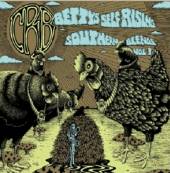 ROBINSON CHRIS -BROTHERHOOD-  - 2xCD BETTY'S SELF-RISING..