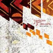 JAMAICAN JAZZ ORCHESTRA  - VINYL ENCOUNTERS [VINYL]