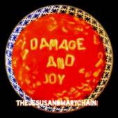  DAMAGE AND JOY - suprshop.cz