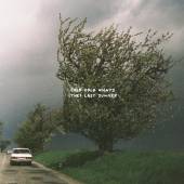COLD COLD NIGHTS - CD (THE) LAST SUMMER