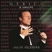 IGLESIAS JULIO  - CD MEXICO & AMIGOS