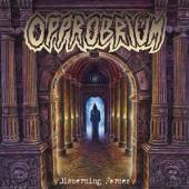  DISCERNING.. -REISSUE- [VINYL] - supershop.sk