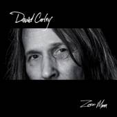 CORLEY DAVID  - CD ZERO MOON