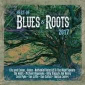 VARIOUS  - 2xCD BEST OF BLUES & ROOTS..