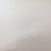  5 HAIKU [VINYL] - supershop.sk