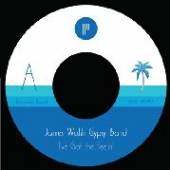 WALSH JAMES -GYPSY BAND-  - SI I'VE GOT THE FEELING /7
