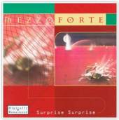  SURPRISE SURPRISE [VINYL] - supershop.sk