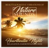 VARIOUS  - CD NATURE SOUNDS -..