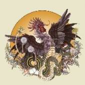 BRUME  - 2xVINYL ROOSTER -COLOURED- [VINYL]