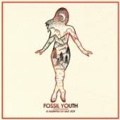 FOSSIL YOUTH  - CD GLIMPSE OF SELF JOY