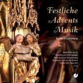 VARIOUS  - CD FESTLICHE ADVENTS..