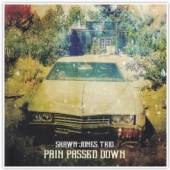 SHAWN JONES TRIO  - CD PAIN PASSED DOWN