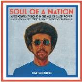 VARIOUS  - 2xVINYL SOUL OF A NATION [VINYL]