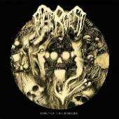  EFFIGY OF THE GROTESQUE [VINYL] - suprshop.cz