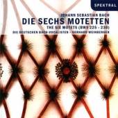 WEINBERGER/DIE DEUTSCHEN BACH-  - CD DIE SECHS MOTETTEN