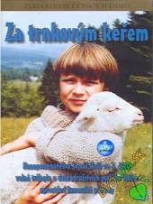  Za trnkovým keřem DVD - supershop.sk