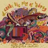 GREAT BIG PILE OF LEAVES  - VINYL HAVE YOU SEEN ..