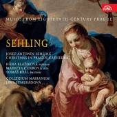 COLLEGIUM MARIANUM  - CD SEHLING: VANOCE V..