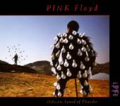 PINK FLOYD  - 2xCD DELICATE SOUND OF THUNDER