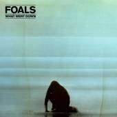 FOALS  - 2xCD WHAT WENT DOWN