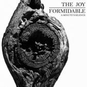 JOY FORMIDABLE  - SI MINUTE'S SILENCE (12')