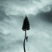 MANCHESTER ORCHESTRA  - CD BLACK MILE TO THE..