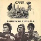  7-THINKIN' OF THE USA /.. [VINYL] - suprshop.cz