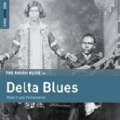 VARIOUS  - VINYL ROUGH GUIDE TO DELTA.. [VINYL]