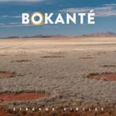 BOKANTE  - CD STRANGE CIRCLES
