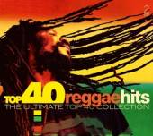 VARIOUS  - 2xCD TOP 40 - REGGAE HITS