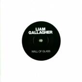 GALLAGHER LIAM  - SI WALL OF GLASS /7