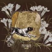 PRAWN  - CD RUN